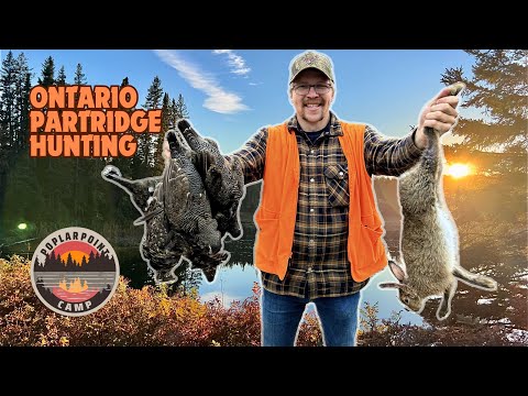 Partridge (Grouse) Hunting Ontario - Amazing Early Season Success