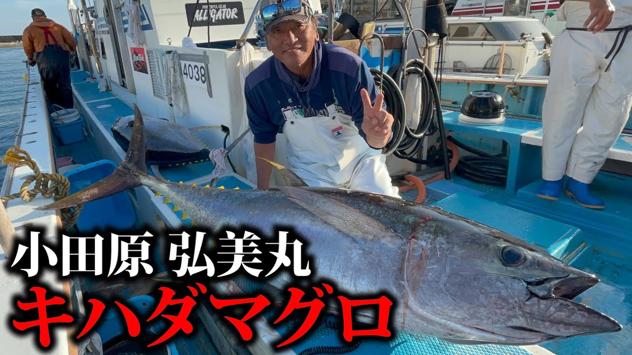 キハダマグロ1222