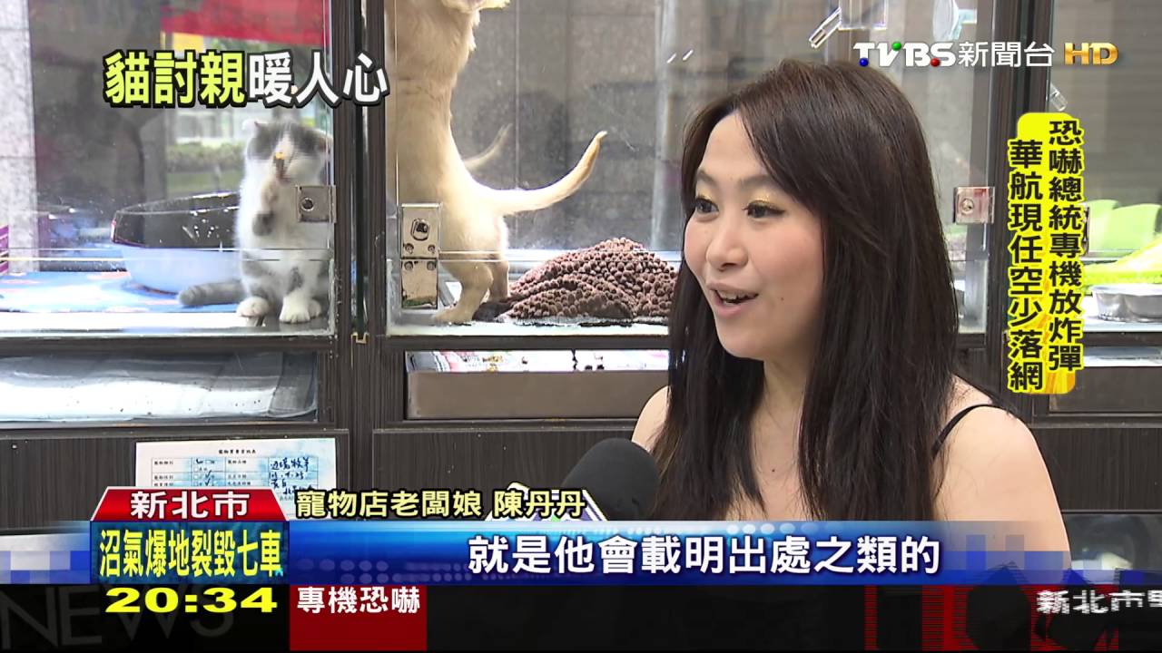貓狗一家親! 小貓翻牆找隔壁小狗討親親