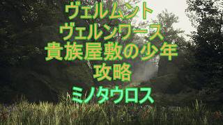 DD2【ドラゴンズドグマ2】攻略プレイ22