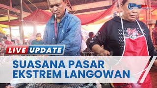 Melihat Penjualan Daging Ular Piton, Kelelawar dan Harga Cabai di Pasar Ekstrem Langowan
