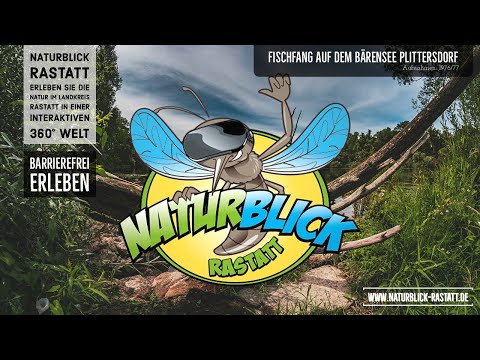 Naturblick Rastatt - Fischfang auf dem Altrhein in Plittersdorf