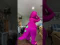 Barney The Dinosaur The Barney Boogie