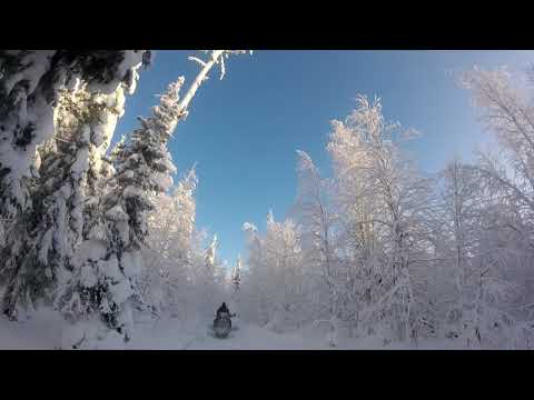 Солнечный зимний лес. Дорога в зимовье. Sunny winter forest. The road to the cabin