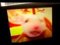 Stuart Little 2 2002 UK VHS Trailer