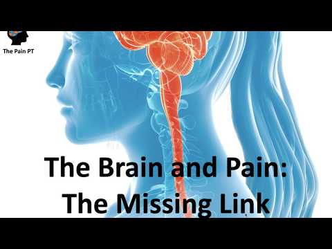 The Brain and Pain: The Missing Link- TMS/Dr. Sarno