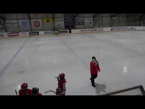 AA 20.2.2021   Hermes valkoinen - Diskos keltainen