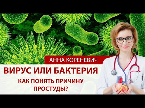 Вирус или бактерия? Как понять причину простуды?