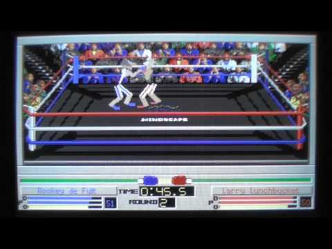 4d sports boxing amiga