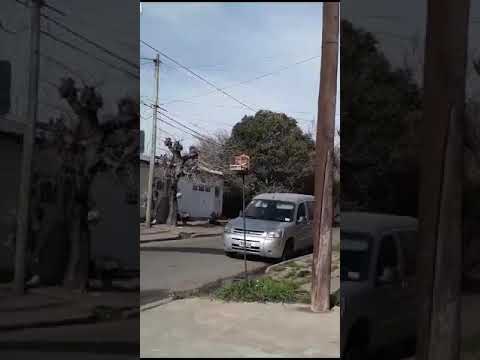 jilguero completo "el sabandija" arrancando...