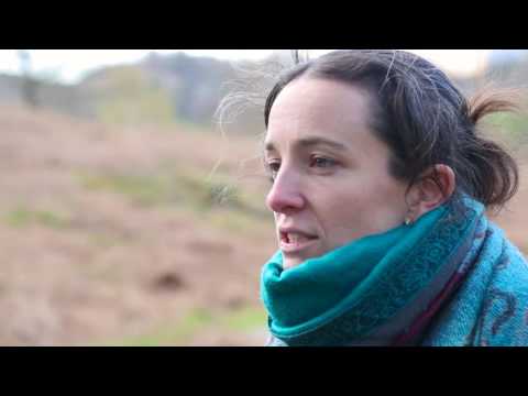 Masochistic Menace: Can God be all loving and all powerful? - The Road