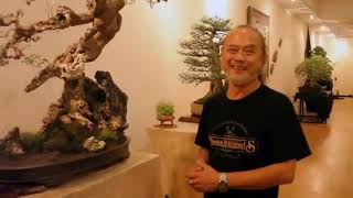 Download lagu BONSAI ITU HOBI SEHAT, KATA ROBERT STEVEN PENDIRI KOSBI mp3