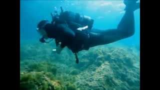 preview picture of video 'Diving in Mar Menuda - Tossa de Mar - Costa Brava'