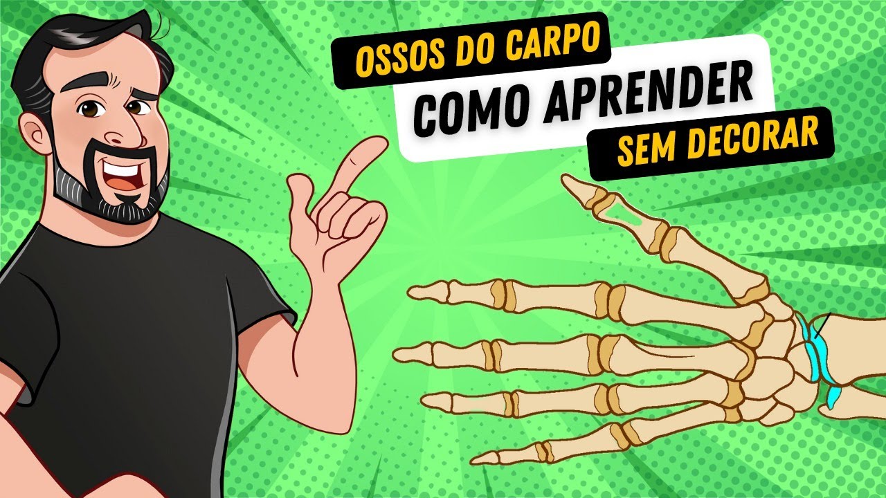 Ossos do Carpo - Como aprender sem decorar - Anatomia Humana