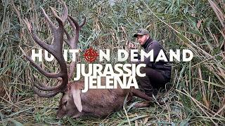 Hirschbrunft in den Donauauen - JURASSIC JELENA - Das beste Rotwildrevier der Welt?