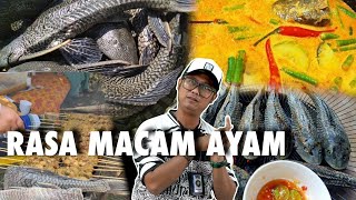Download lagu Ikan Bandaraya Rasa Macam Ayam mp3