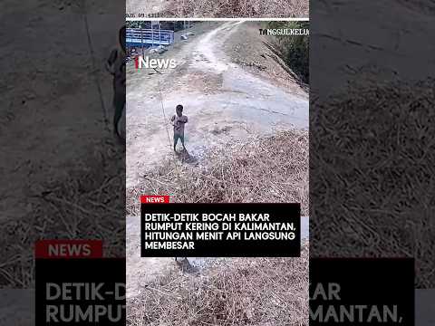 Detik-Detik Bocah Bakar Rumput Kering di Kalimantan, Hitungan Menit Api Langsung Membesar