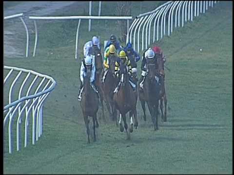 Galoppo 28/01/2017 - 4ª corsa