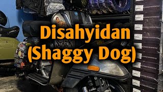 Download lagu Story Wa | 'Reggae Disayidan (Shaggy Dog)' mp3 Download lagu Story Wa | 'Reggae Disayidan (Shaggy Dog)' mp3