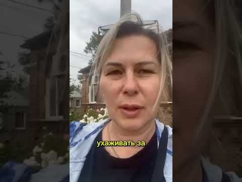 Услуги сиделки