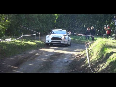 23° Rally Ciocchetto 2014+crash