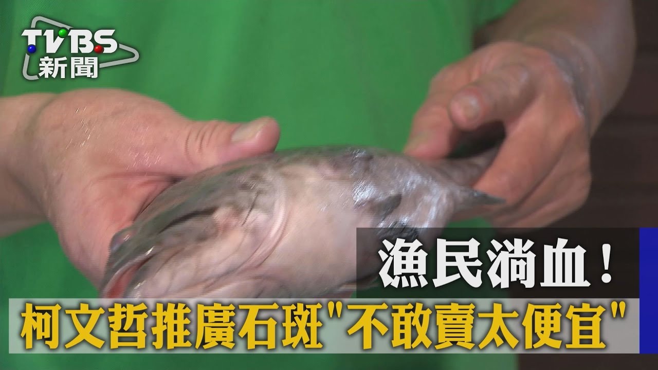 漁民淌血!柯文哲推廣石斑 不敢賣太便宜
