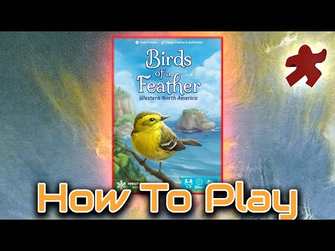 How to Play | Birds of a Feather: Western North America