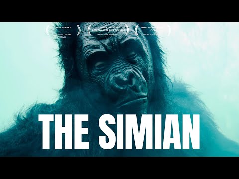 THE SIMIAN - Short Film
