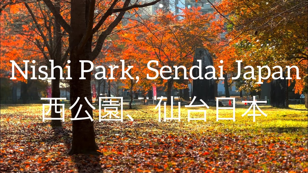 A stroll through Nishi Park during autumn.