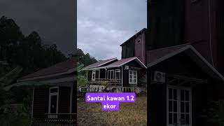 Download lagu santai kawan 1.2 ekor yg penting nyankut #shots #rumahburungwalet #burung #walet mp3