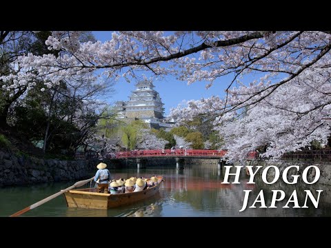HYOGO JAPAN in 8K [Winter Spring] - 兵庫