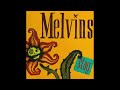 Skin Horse - Melvins [Pitched Down]