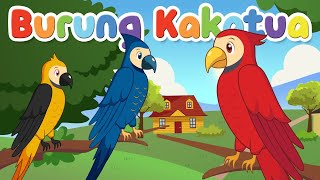 Download lagu BURUNG KAKAKTUA | BURUNG KAKATUA | BURUNG KAKAK TUA | LAGU ANAK POPULER INDONESIA | KARAOKE LIRIK mp3
