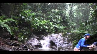 Rainfall UpperCaigual