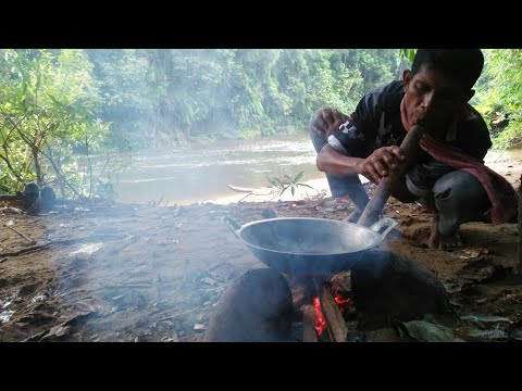 Ikan Mahseer Part 55 / camping dan bermalam dihutan nembak ikan mahseer