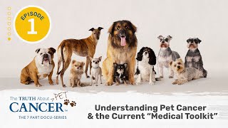 The Truth About PET Cancer - Episode 1