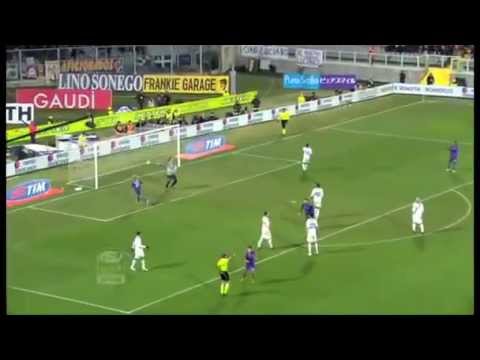 Fiorentina 2012 - 2013 : Cavalcata Europa League