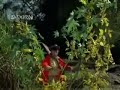 Shokhiyon Me Ghola Jaye Dev Anand Waheeda Rehman Prem Pujari 1970 Songs Old Hindi Superhit Songs