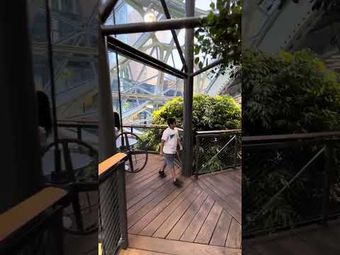 Amazon Spheres, Seattle - 2