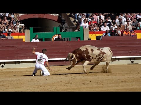 Final Campeonato de España de Recortadores con Toros - Castellón 2025