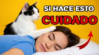 Si tu gato te ‘VISITA’ mientras duermes, esto es lo que está pasando