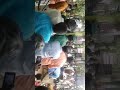 Thiyagarajan Melam Kuruvenkotai