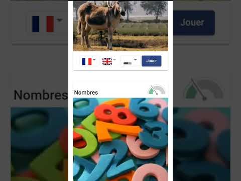 Lexicen ou le lexique anglais