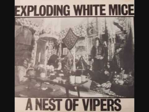 Exploding White Mice - Bad Little Woman