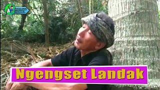 Download lagu Amaq Saen - Ngengset Landak mp3