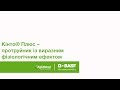 Кінто Плюс — сучасний протруйник для зернових культур