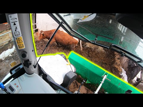 Farmers POV - Hauling Manure Out Of The Barn | Lamborghini Strike 95 Trend