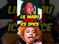 LIL MABU ROASTS ICE SPICE VIOLATED