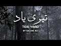 Sajjad Ali Teri Yaad The Yellow Case