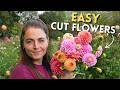 10 Easy Cut Flowers Anyone Can Grow This Season